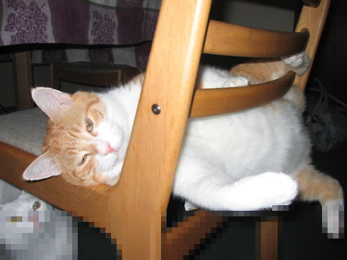 随机足球教育纳入体育师范类课程体系，足球体育课教什么