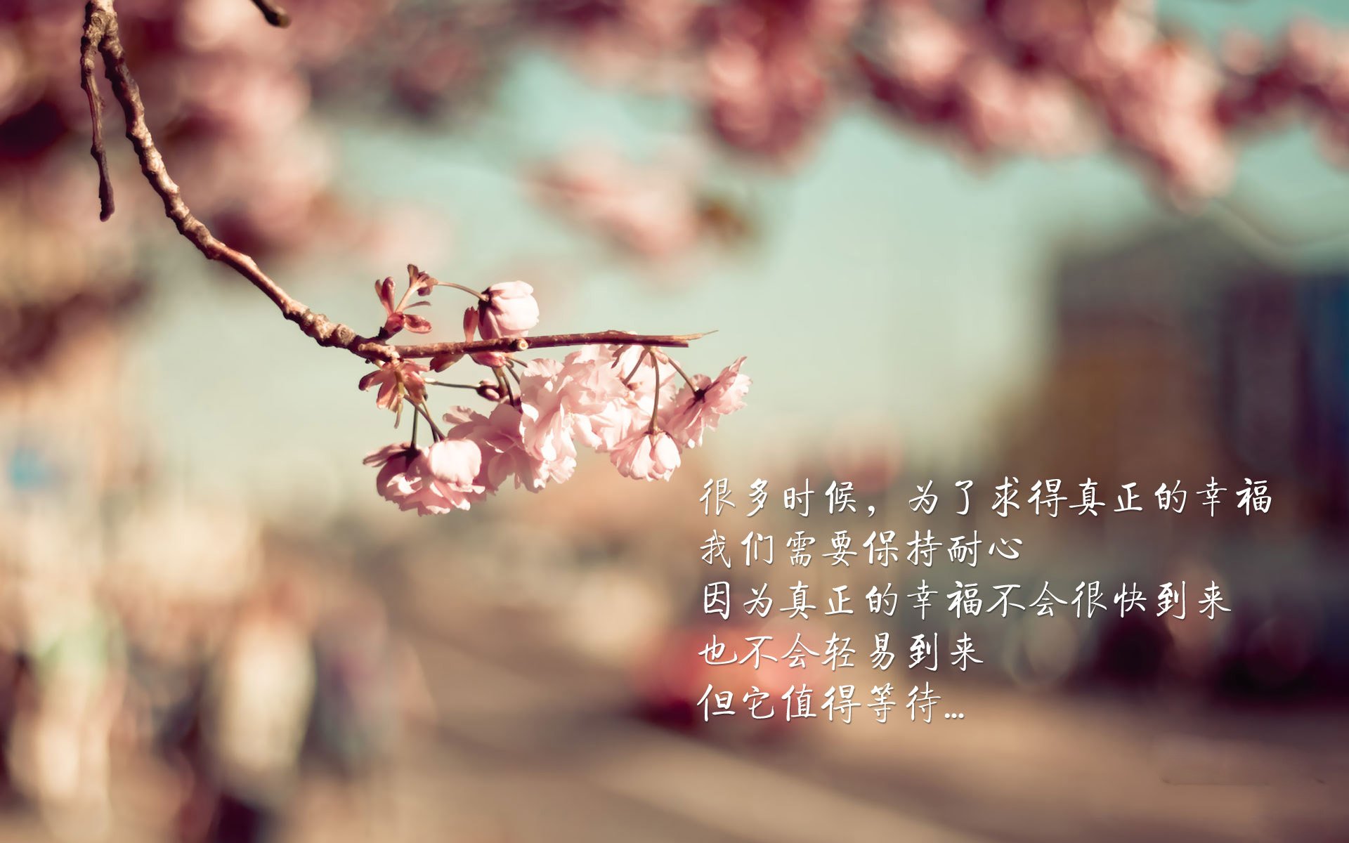 开云首页登录-浙江广厦防守反击战术效果显著，浙江广厦队官网