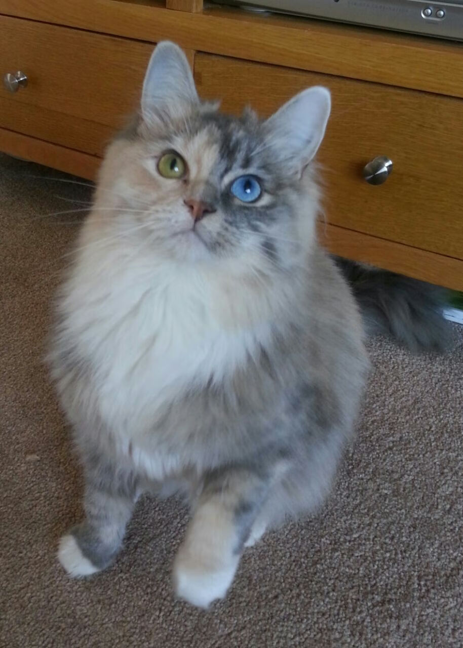 kaiyun体育app-灰熊新秀大放异彩，成为球队场上亮点，灰熊选秀