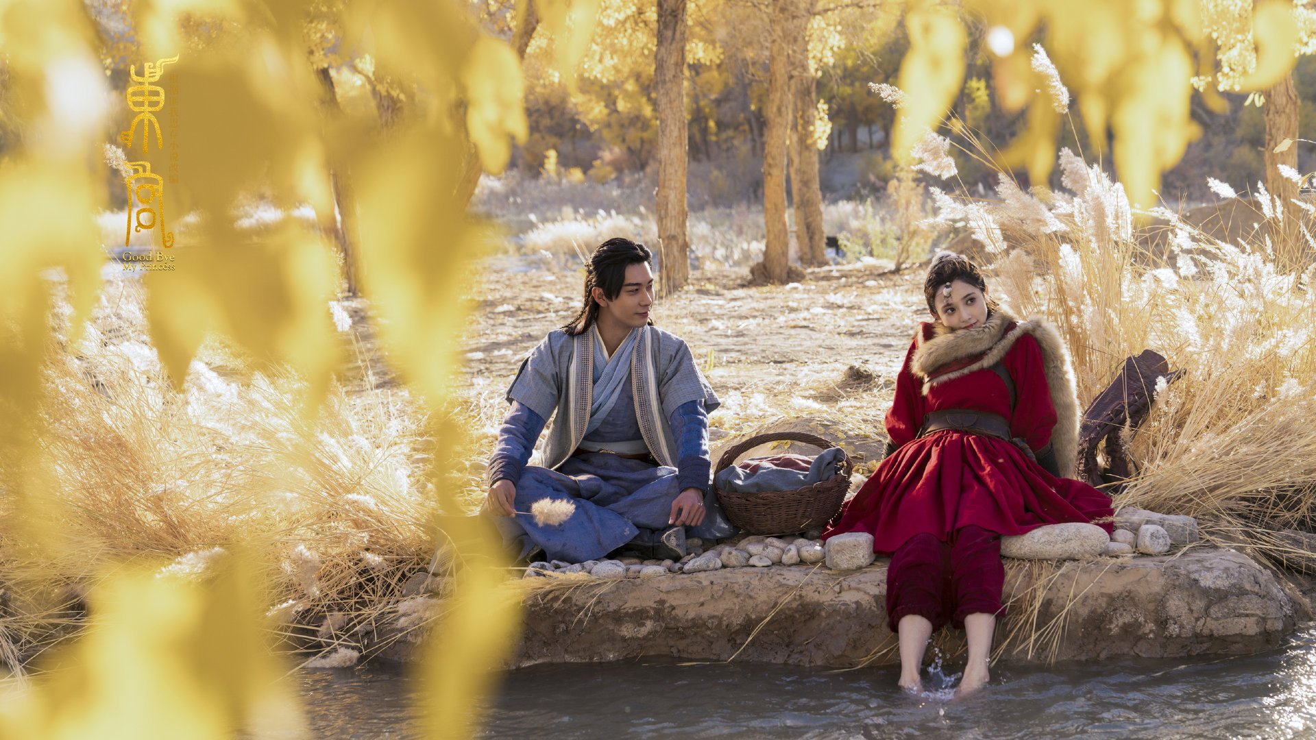 中国篮球职业联赛球队战术演变分析及趋势预测,我国篮球队伍水平