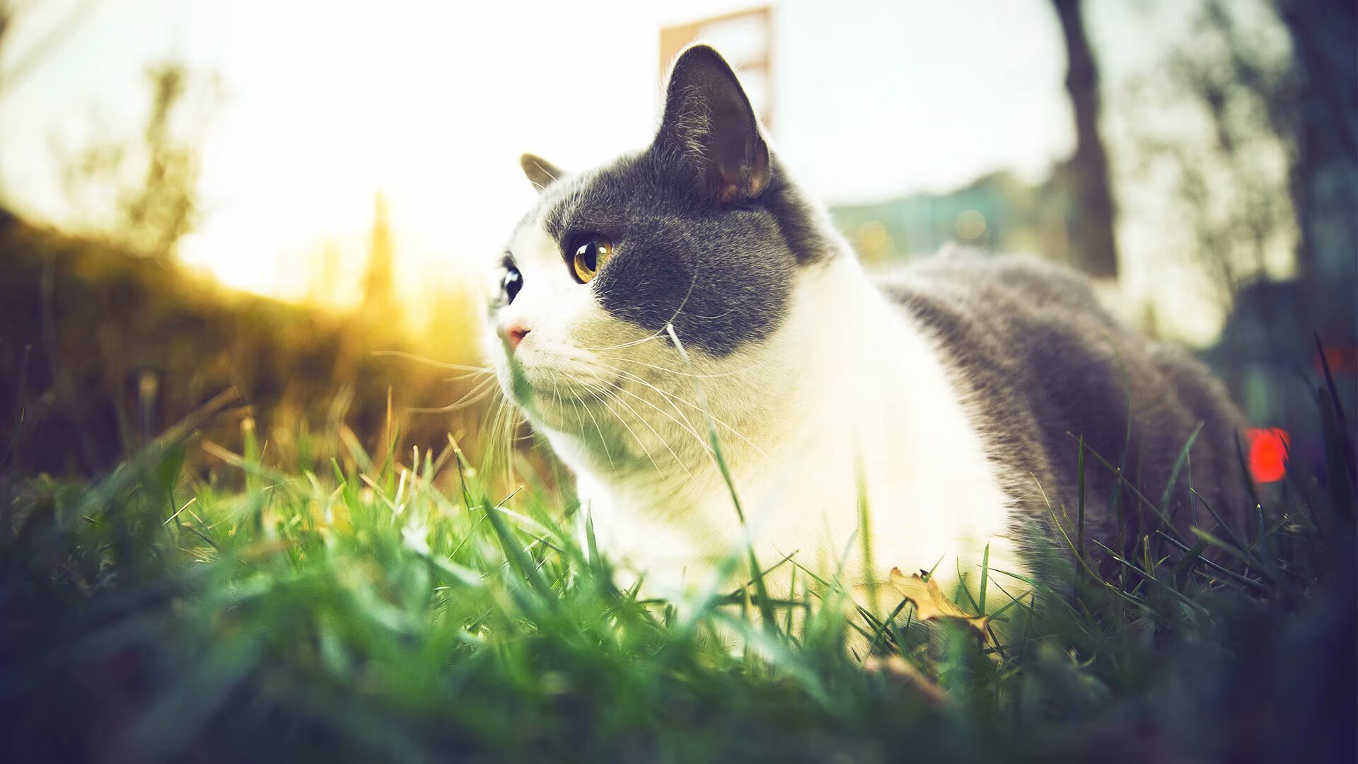 kaiyun中国官方网站-亚洲杯中国青年队惨败 球迷希望加强基础训练，中国足球亚青赛