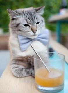 国家队战术模拟演练不够频繁