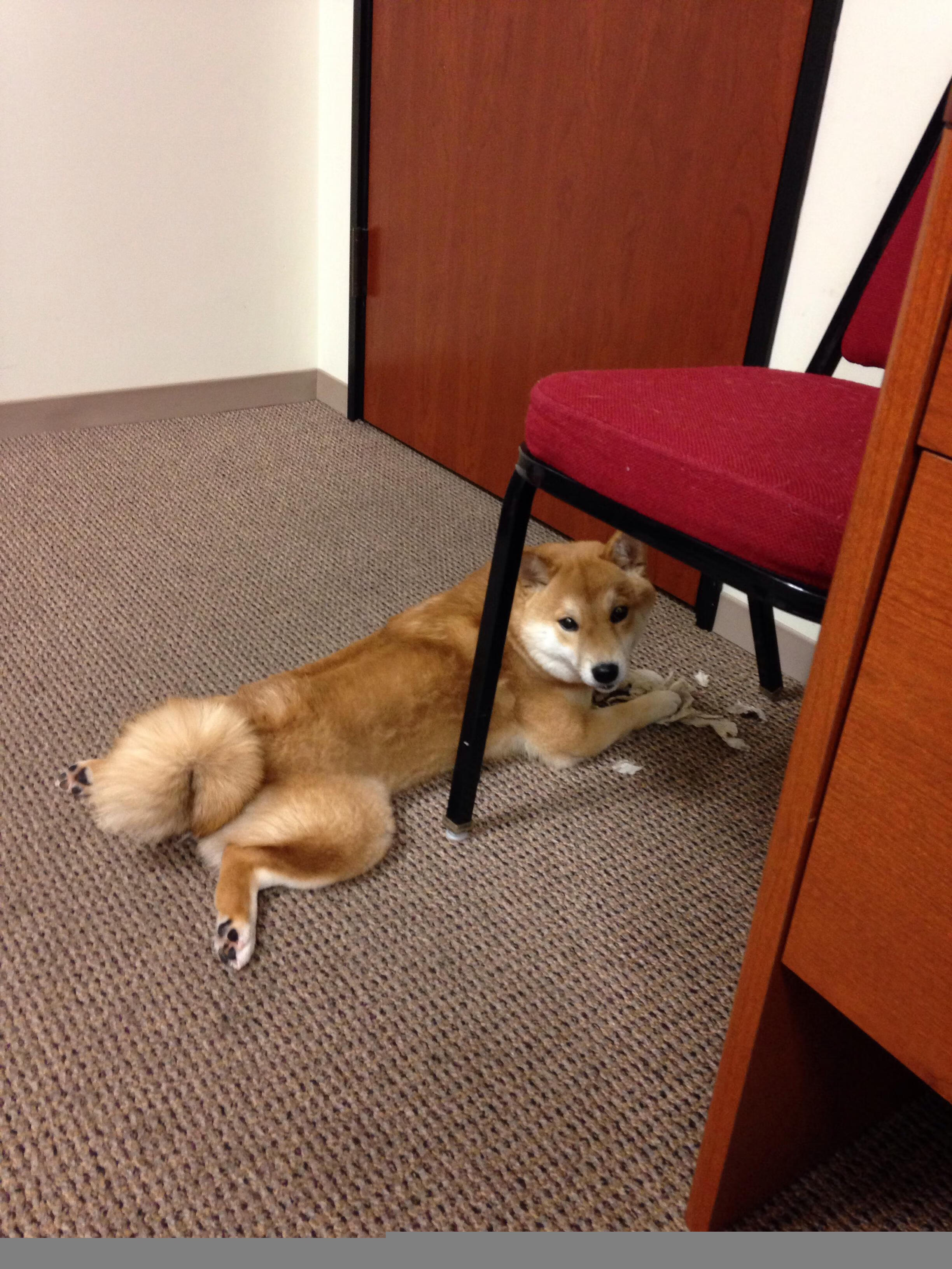 kaiyun-电竞行业规范化发展 政策支持加快推进，电竞产业政策