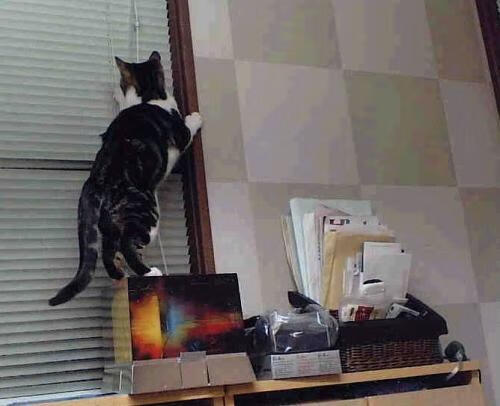 中国足球联赛扩展多语言多平台赛事直播覆盖,足球赛事 中国