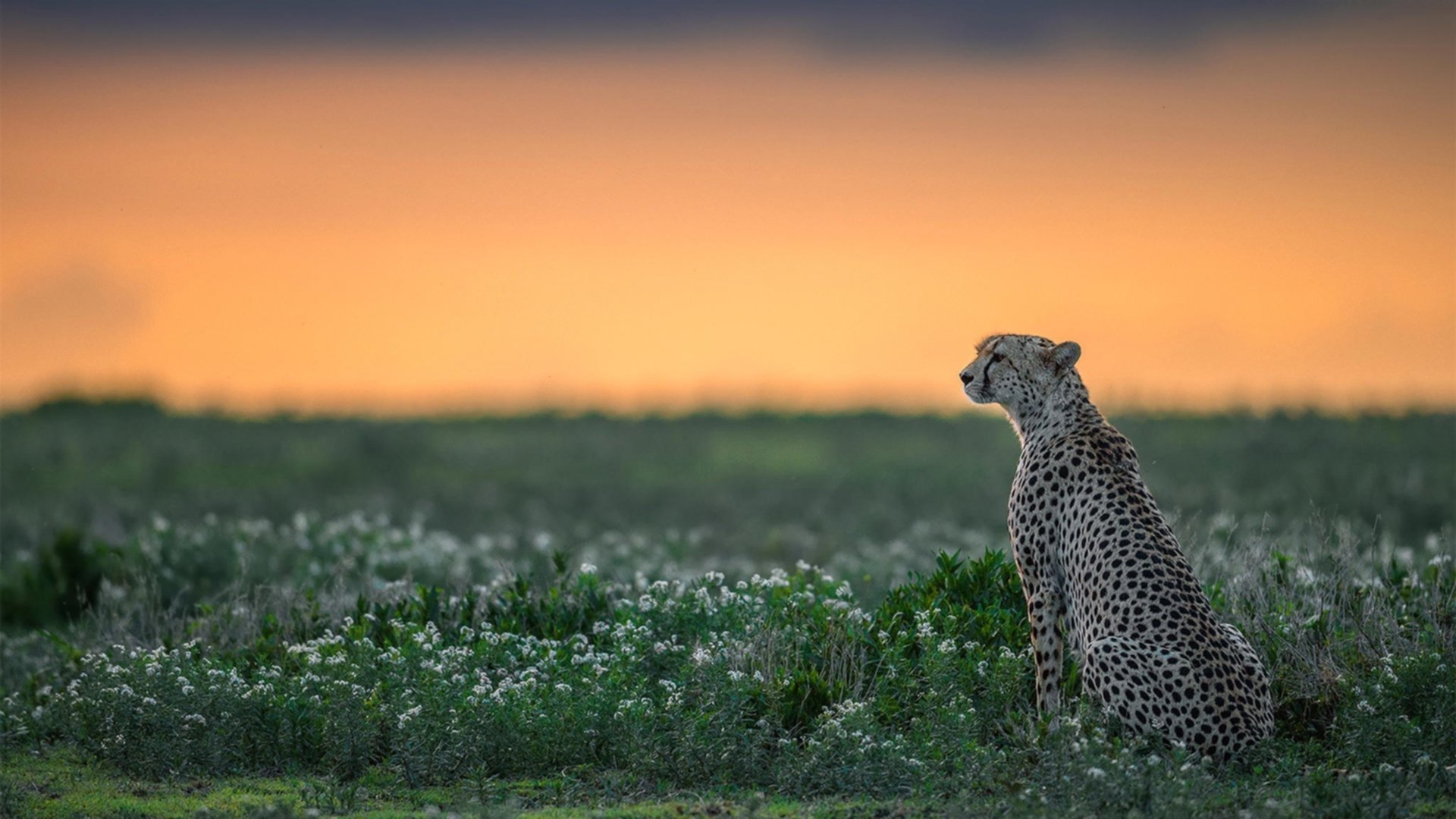 开云·体育官网-江苏男篮挖掘青年才俊新星频出引人关注，江苏 男篮