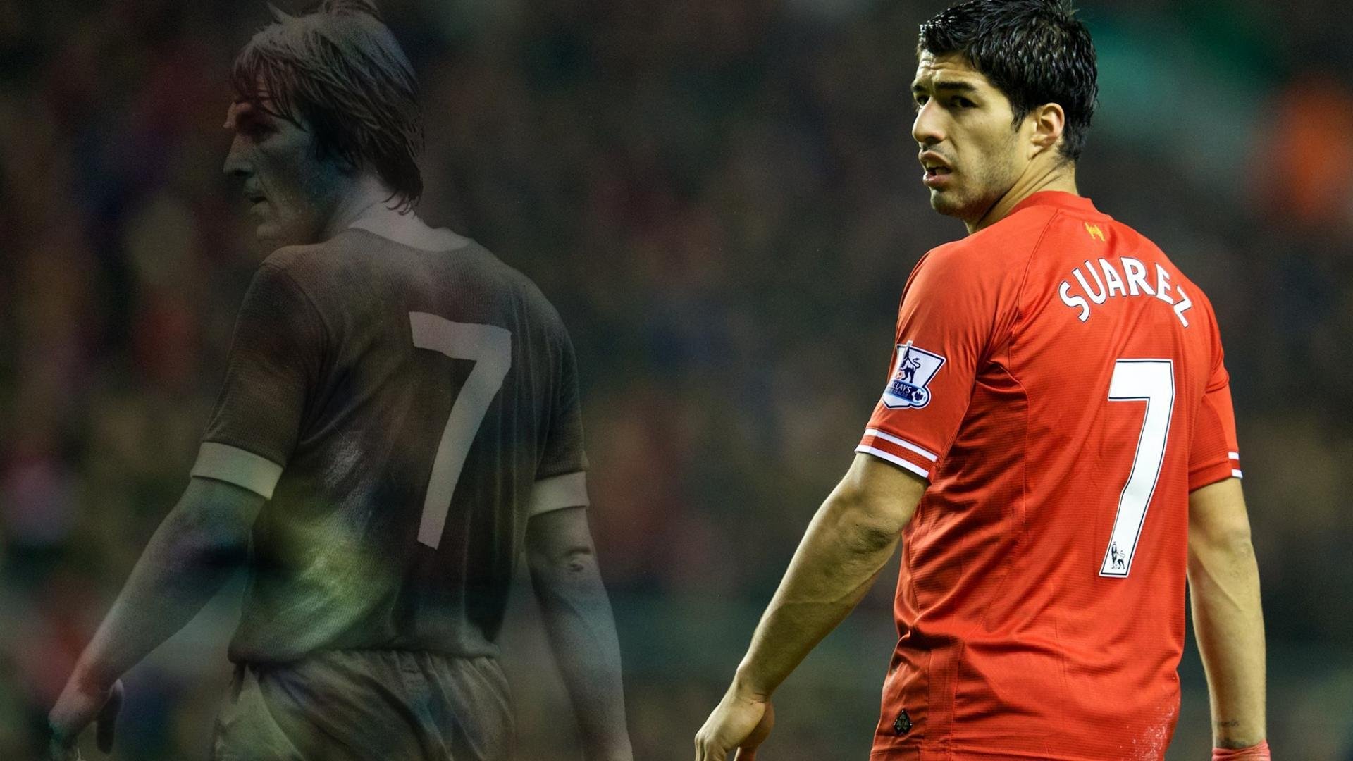 日本马术协会与非洲马术协会开展技术援助项目，提升当地水平。